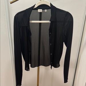 Aritzia Sheer Button-Up